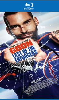 Goon Last of the Enforcers 2017 720p BRRip 900MB Download