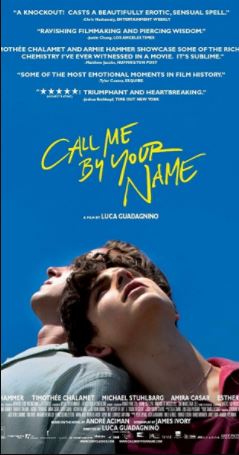 Call Me by Your Name 2017 DVDSCR 750MB English x264