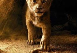 The Lion King (2019) [Hindi (ORG) + English] Dual Audio | BluRay 720p, 480p & 1080p