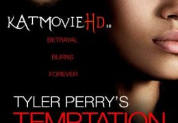 Temptation: Confessions of a Marriage Counselor (2013) BluRay 720p & 480p Dual Audio [Hindi – English]  x264 Eng Subs