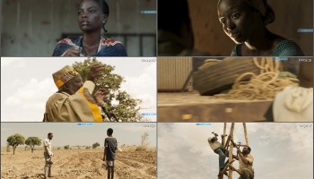 The.Boy.Who.Harnessed.The.Wind.2019.720p.WEBRip.Tamil.Dub.Dual-Audio.x264-1XBET.th.jpg